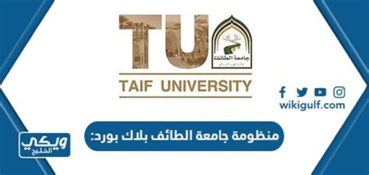 بلاك بورد جامعة الطائف: دليل الطالب للاستخدام والخدمات
